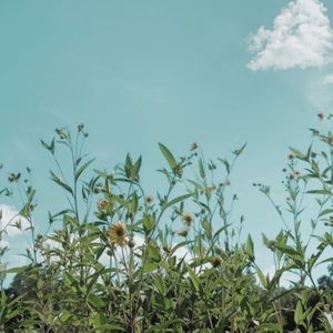 Meet your Posher, Ella